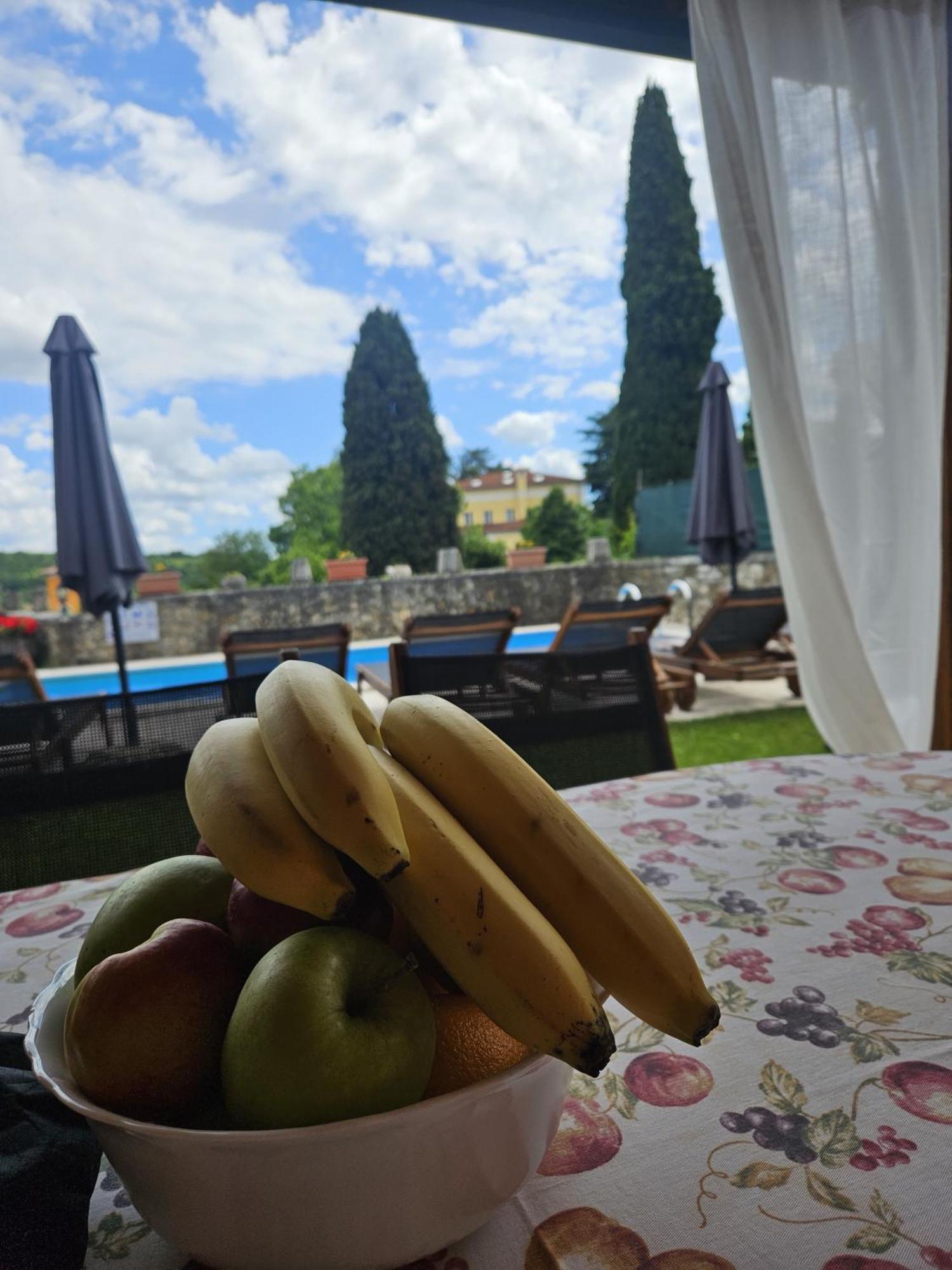 Villa Letizia Oprtalj 외부 사진
